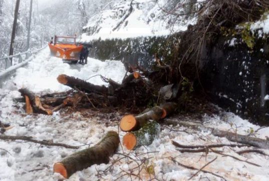 Maltempo, in Alto Adige black out elettrico e strade chiuse. Isolate diverse valli. Saturnia, ondata di fango sulle terme: danni