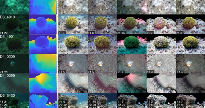 L’algoritmo rimuove le distorsioni dalle foto subacquee per aiutare la ricerca oceanica