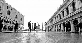 Copertina di I predoni ambientali e la cavia San Marco