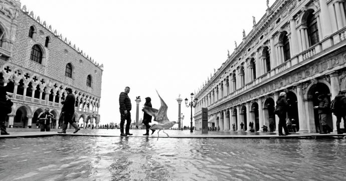 I predoni ambientali e la cavia San Marco
