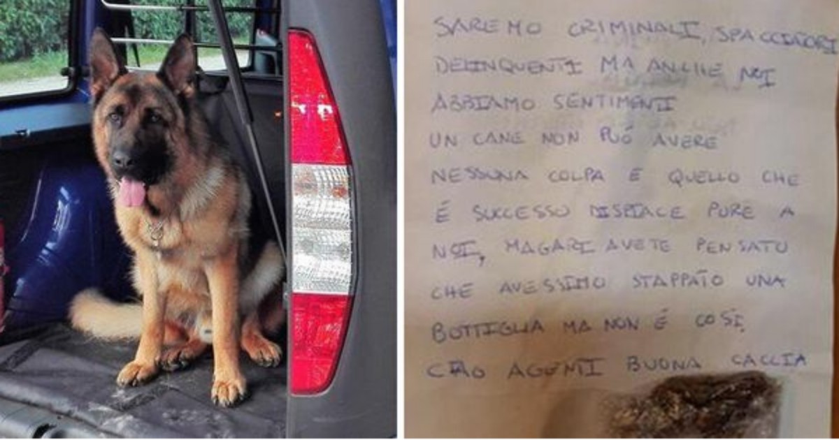 “Addio Rocky, ti abbiamo voluto bene”: muore cane antidroga, spacciatori gli scrivono un commovente messaggio