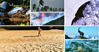 Copertina di Giornata dell’Ambiente, la sfida: dieci anni per ripristinare gli ecosistemi. Ma per riparare ai danni fatti serve triplicare gli investimenti