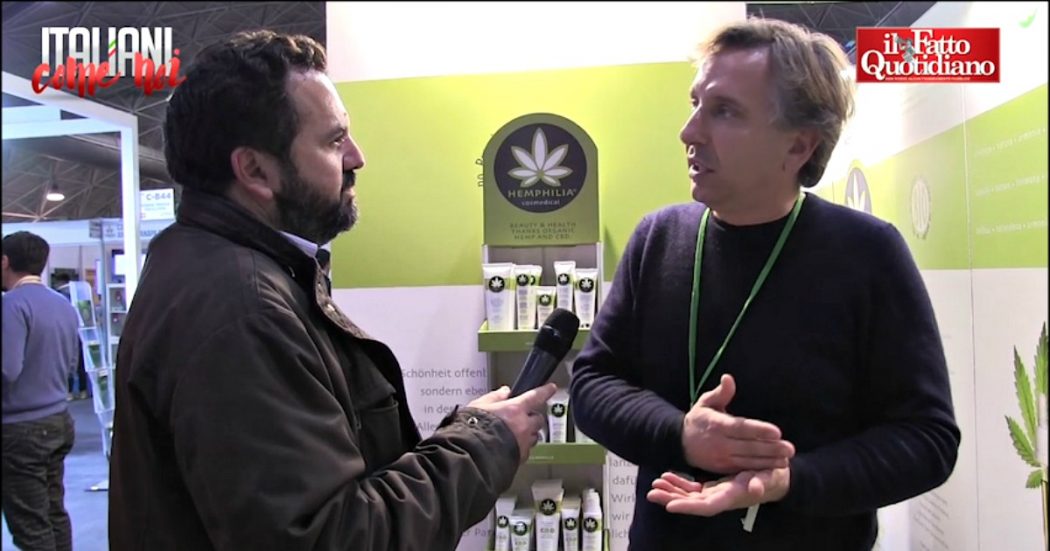 Italiani come noi, legalizzare la cannabis? “Va fatto subito, utile per l’economia”. “Ora totale incertezza, serve legge per il settore”