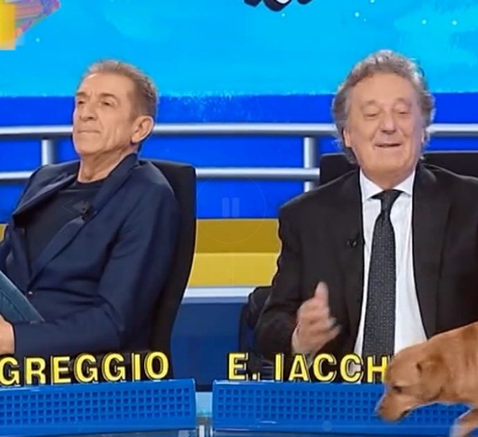 Striscia la Notizia, il fuorionda di Ezio Greggio con il cane: “Vai da Barbara D’Urso che è una collega. Vai su”. Polemiche sui social