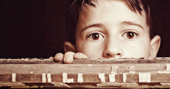 Lo scaffale dei libri, la nostra rubrica settimanale: diamo i voti, da Fabio Volo a Roberto Calasso e Massimo Carlotto