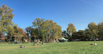Copertina di Firenze, affittato il parco delle Cascine per un mese. La bellezza, evidentemente, è ancora per pochi