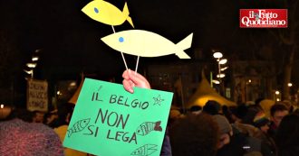 Belgio, Sardine in piazza ad Anversa: “Salvini qui per incontrare estrema destra. Politica dei muri e dell’odio porta Ue a deriva pericolosa”