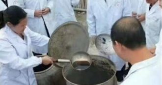 Copertina di “Medici cinesi scoprono un beverone per vivere fino a 120 anni”. Ma le autorità sanitarie vogliono aprire un’inchiesta