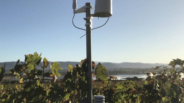 Monitoraggio vigne a 700 km di distanza grazie a un Wi-Fi speciale nato al Politecnico di Torino