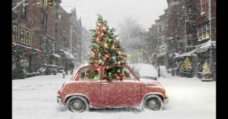 Copertina di Codice della Strada, ecco come trasportare l’albero di Natale in tutta sicurezza