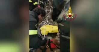 Copertina di Salerno, cane cade in un dirupo: il salvataggio dei Vigili del fuoco a 20 metri di profondità