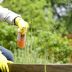 Copertina di I pesticidi e l’ipotesi di un rischio fino al 71% di sviluppare la Sla per chi è esposto, lo studio sui dati di otto paesi tra cui l’Italia
