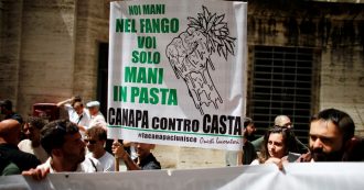 Copertina di Pressioni su Casellati: “Vieti l’erba light”