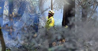 Copertina di Australia, il 17 dicembre è stato il giorno più caldo della storia: 40,9 gradi. Stagione di incendi senza precedenti – FOTO