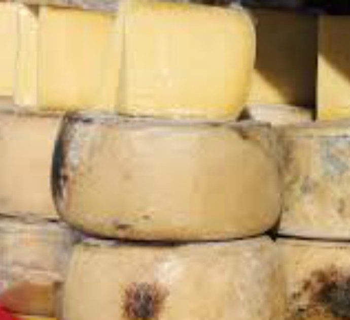 Negozio vende formaggio troppo puzzolente: scoppia la polemica e la questione finisce in tribunale