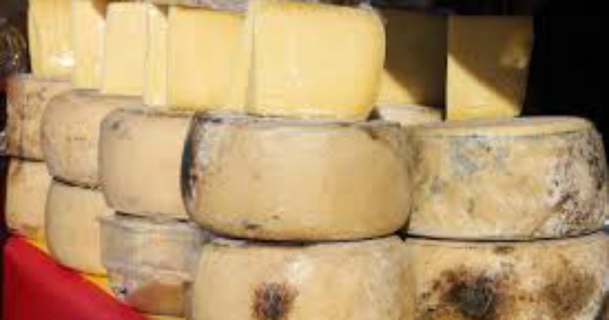 Negozio vende formaggio troppo puzzolente: scoppia la polemica e la questione finisce in tribunale