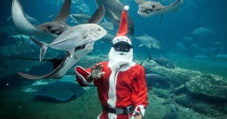 Copertina di Natale, qualcuno mi dica chi è che vuole ucciderlo