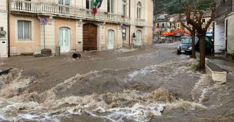 Copertina di Maltempo, uomo di 62 anni muore schiacciato da un albero caduto a Napoli. Ancora allerta meteo in 11 regioni