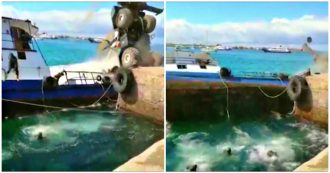 Copertina di La gru si ribalta e cade sul barcone: chiatta con 600 litri di gasolio affonda alle Galapagos