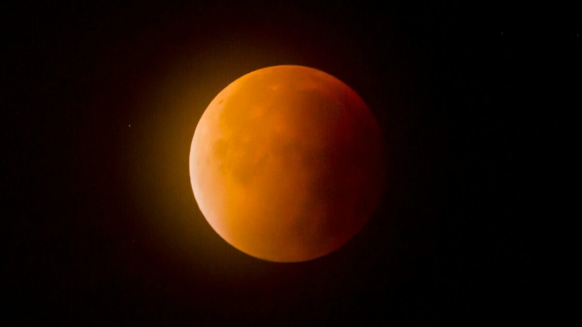 Eclissi del 28 agosto, la Luna si tinge di rosso e si oscura al 96%: gli orari e le istruzioni per osservare “il terzo grande spettacolo di questo mese”