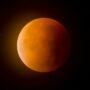 Copertina di Eclissi del 28 agosto, la Luna si tinge di rosso e si oscura al 96%: gli orari e le istruzioni per osservare “il terzo grande spettacolo di questo mese”