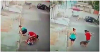 Copertina di Pitbull attacca un bambino di 4 anni, ragazzo-eroe interviene e lo salva: la lotta col cane a mani nude