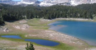 Copertina di Trovato senza vita il bambino scomparso il giorno di Natale: l’ultima volta era stato visto giocare con i parenti nel giardino di casa