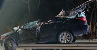 Copertina di Suv contro una quercia “per evitare un cervo”: tre sedicenni muoiono il giorno di Natale