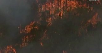 Copertina di Australia in fiamme, temperature di oltre 40 gradi e venti forti: 100 incendi ancora da domare. Le immagini