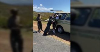 Copertina di Il ciclista professionista Dlamini arrestato mentre si allena: i ranger gli rompono il braccio. La video-denuncia