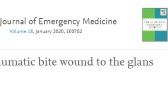 Copertina di Moglie lo morde sull’organo sessuale durante il rapporto. La diagnosi dei medici: “Pene in putrefazione”. Il caso esaminato dal Journal of Emergency Medicine