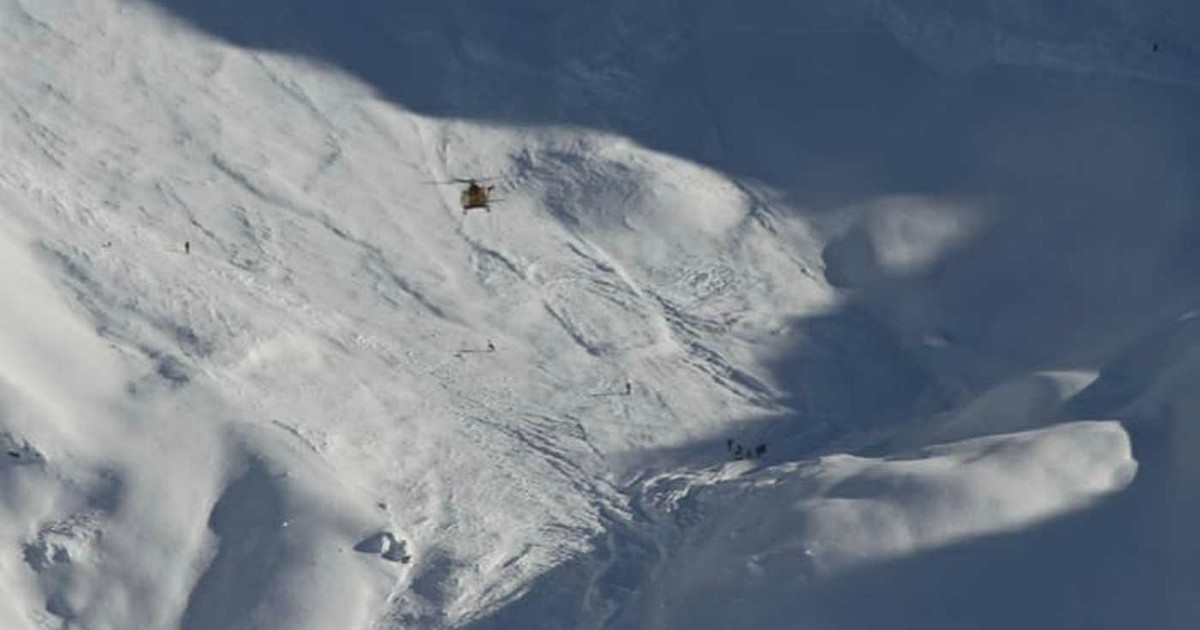 Cane soccorritore sopravvive 16 giorni senza cibo a 3500 metri sui ghiacciai del Cervino, poi ritrova la strada di casa