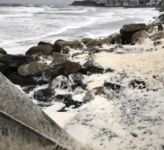 Usa, la spiaggia sembra una distesa di ghiaccio: ma è schiuma del mare. L’effetto è spettacolare