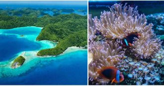 Copertina di Palau, l’isola dell’Oceano Pacifico è il primo Stato al mondo a vietare le creme solari: “Uccidono i nostri coralli”