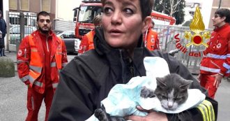 Copertina di Incendio in appartamento: gatto salvato e “rianimato” dai Vigili del fuoco a Sesto San Giovanni