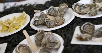 Copertina di Vietata la vendita di ostriche del sud ovest della Francia, troppe intossicazioni alimentari. Allevatori: “Crisi economica senza precedenti”