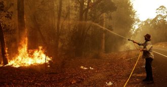 Copertina di Incendi in Australia, oltre 10mila cammelli saranno abbattuti perché “bevono troppo, stanno entrando nelle case per cercare acqua”