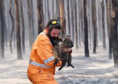 Copertina di Australia, il Wwf: “Si stima un miliardo di animali uccisi dal fuoco”. Il fumo degli incendi visibile fino in Cile e in Argentina