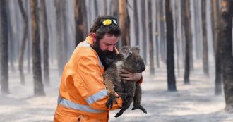 Australia, il Wwf: “Si stima un miliardo di animali uccisi dal fuoco”. Il fumo degli incendi visibile fino in Cile e in Argentina
