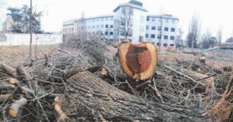 Copertina di Coronavirus, dopo ci attendono cemento e asfalto. Alla faccia della coerenza