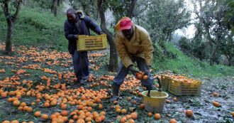 Copertina di 10mila lavoratori migranti dell’agroalimentare in condizioni di vita estreme. L’indagine Anci: “Così ghettizzarli ha massimizzato i profitti”