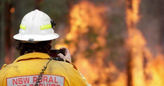 Copertina di Incendi in Australia, danni incalcolabili per la biodiversità e per l’uomo: ecco cosa bisogna precisare su arresti, foto e animali uccisi