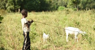 Parigi, aveva 14 anni ed è morto nel carrello di un aereo. È una sconfitta per tutti