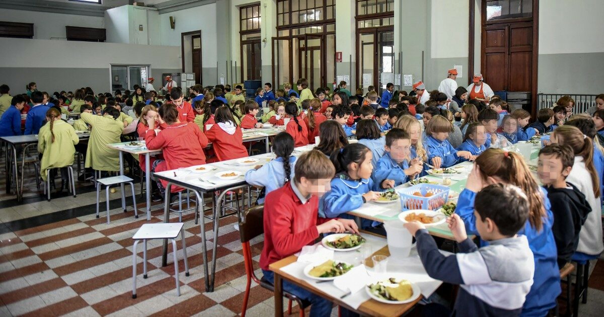Meno cibi processati, più bio ma ancora molti sprechi: il report sulle mense scolastiche. E resta il divario Nord e Sud Meno cibi processati, più bio ma ancora molti sprechi: il report sulle mense scolastiche. E resta il divario Nord e Sud