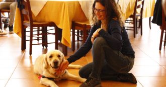 Copertina di Jack è saltato incontro a Elisa quando si sono incontrati. E ora si prende cura del suo diabete