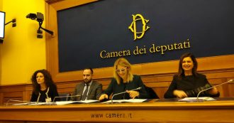 Alienazione parentale, il caso Laura Massaro ha aperto un vaso di Pandora