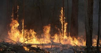 Copertina di Australia, maxi incendio a Canberra. Le autorità: “Restate in casa, uscire è pericoloso”