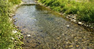 Copertina di “Così tutela dei fiumi a rischio”: mobilitazione contro le direttive distrettuali sugli incentivi alle piccole centrali idroelettriche