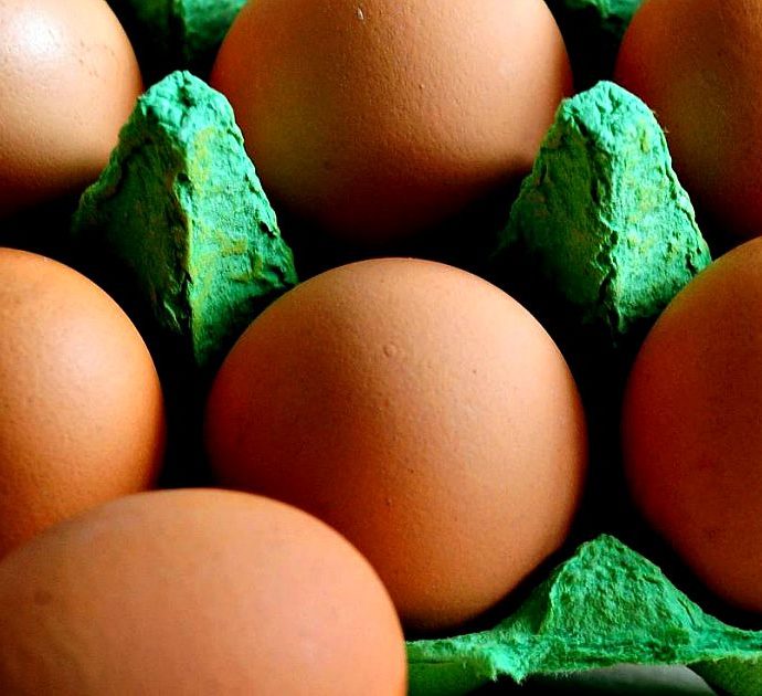 Uova bio contaminate, aumenta il numero dei lotti ritirati per rischio contaminazione da salmonella: ecco quali sono