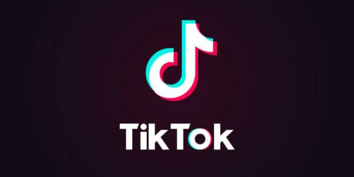 TikTok, il Garante per la privacy chiede una task-force europea sui rischi per gli utenti